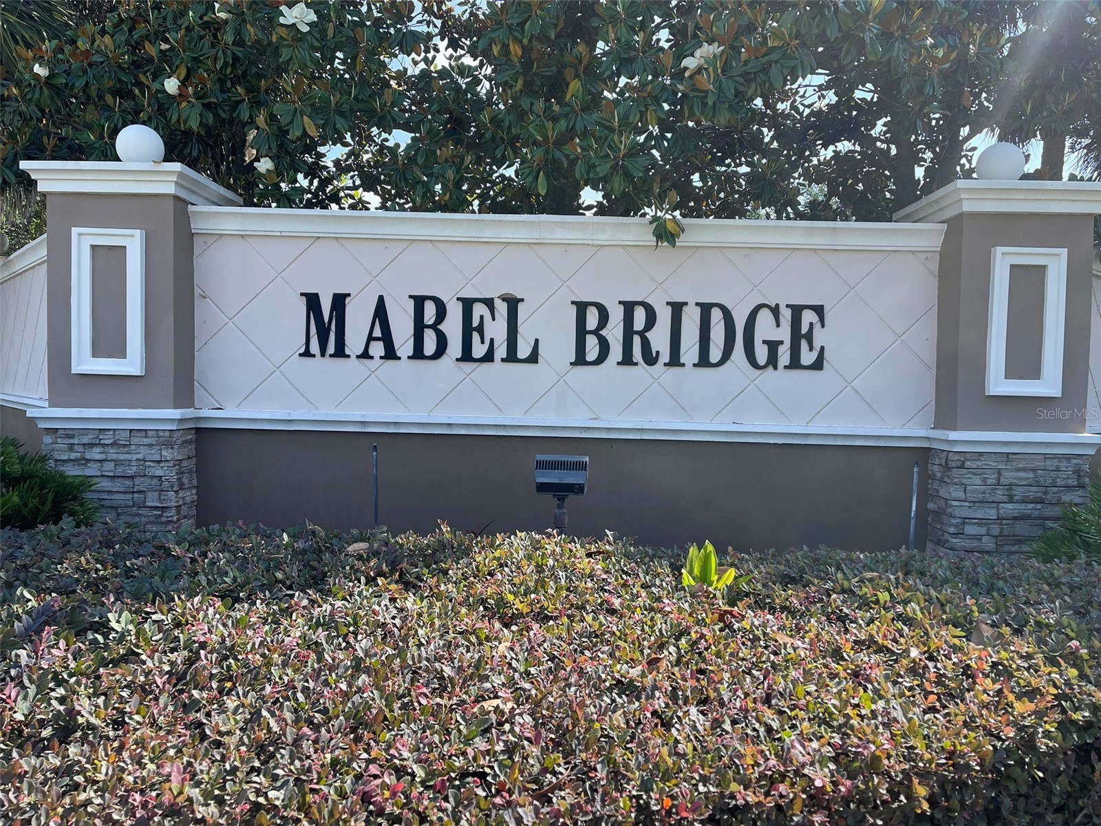 11955 Verrazano Drive Orlando FL 32836 O6404274 image2