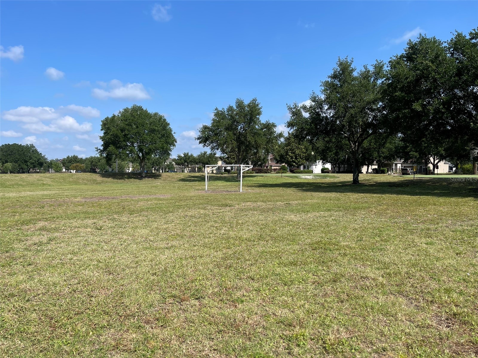 11955 Verrazano Drive Orlando FL 32836 O6404274 image21