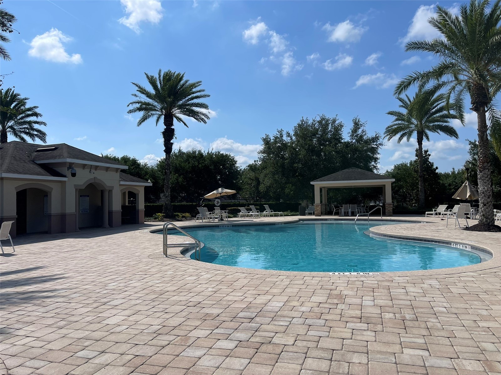 11955 Verrazano Drive Orlando FL 32836 O6404274 image22