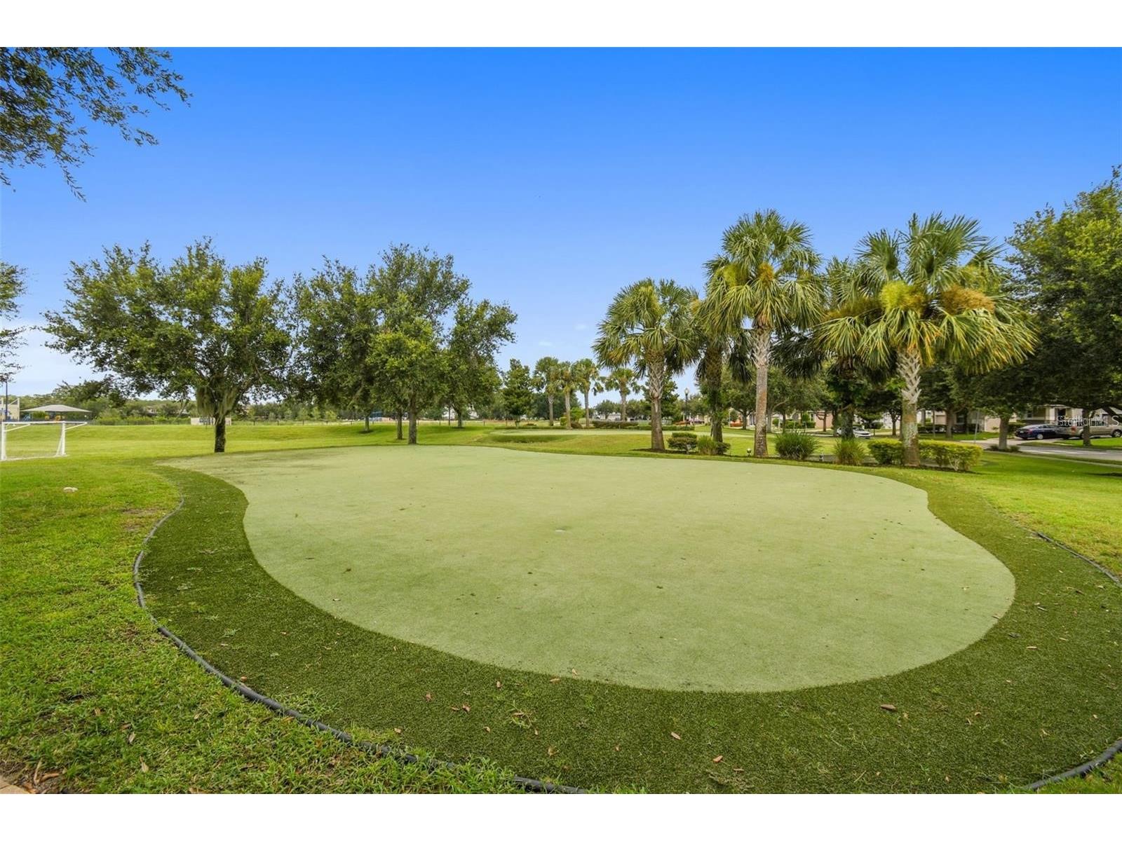 11955 Verrazano Drive Orlando FL 32836 O6404274 image23