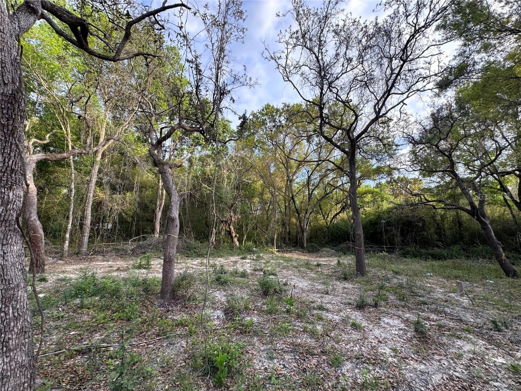 11957 Minnieola Drive New Port Richey FL 34654 T3510597 image1