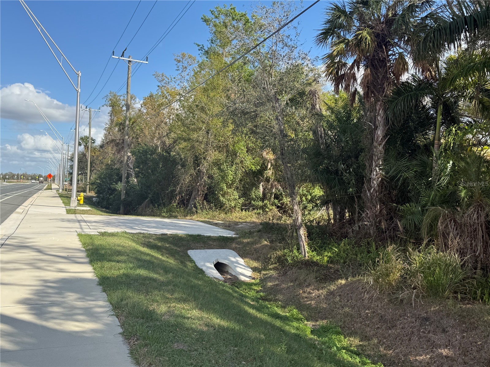 11959 Moccasin Wallow Road Parrish FL 34219 A4687396 image3