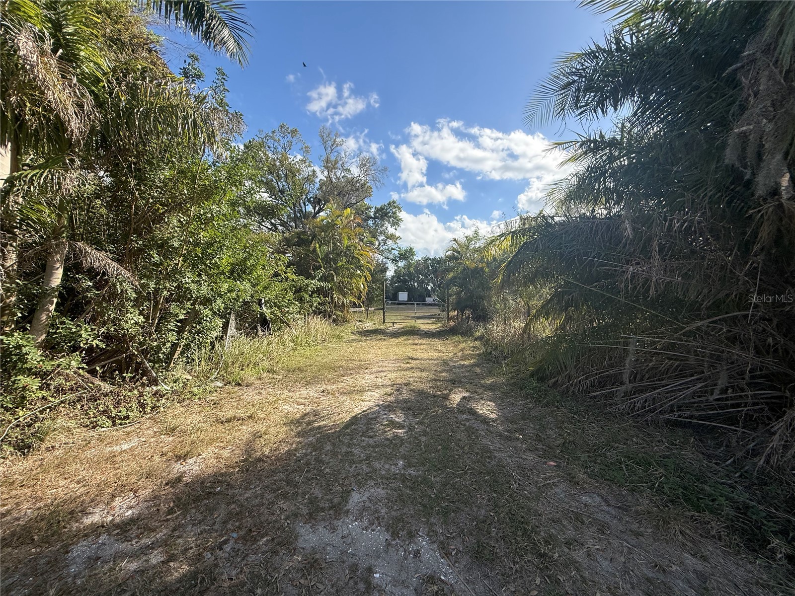 11959 Moccasin Wallow Road Parrish FL 34219 A4687396 image4