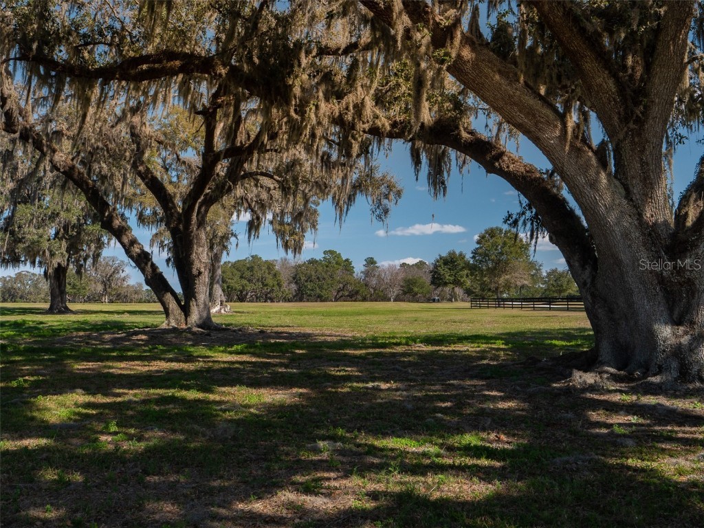 11959 NW Highway 464b Ocala FL 34482 OM675030 image1