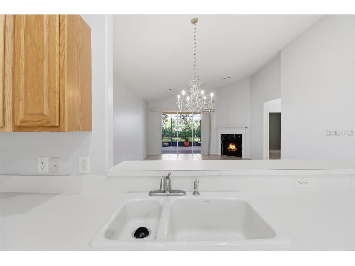 1196 W Diamond Shore Loop Hernando FL 34442 OM712887 image15