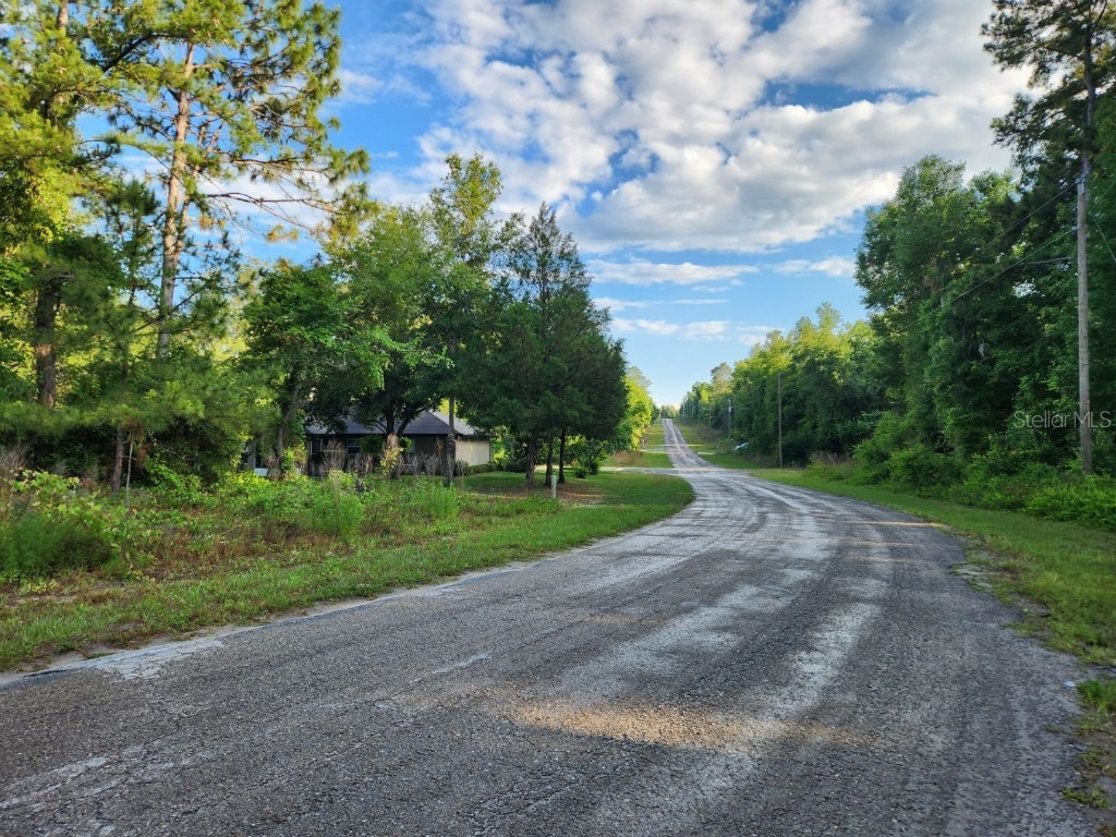 11961 N Condor Drive Citrus Springs FL 34433 S5104517 image1