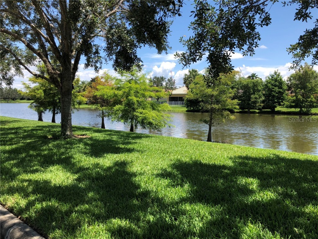 11962 Kipper Drive Orlando FL 32827 S5133804 image23