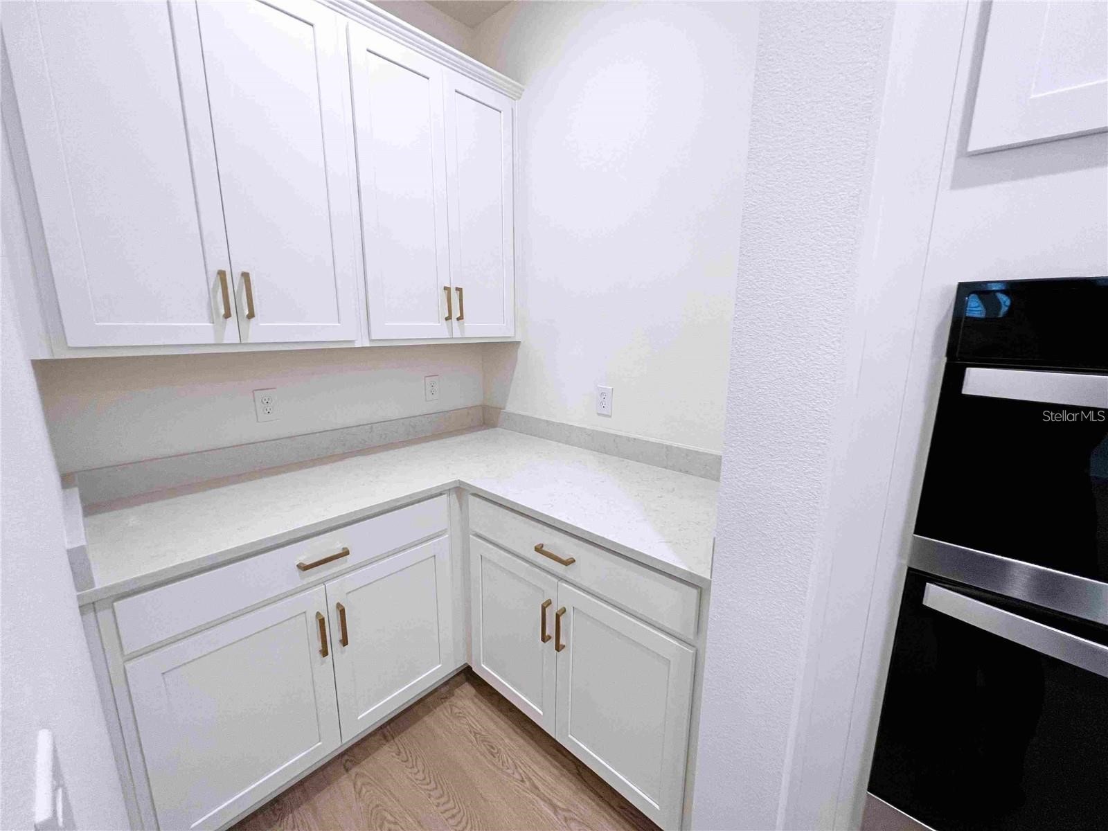 11965 Bracco Street Winter Garden FL 34787 O6407048 image10