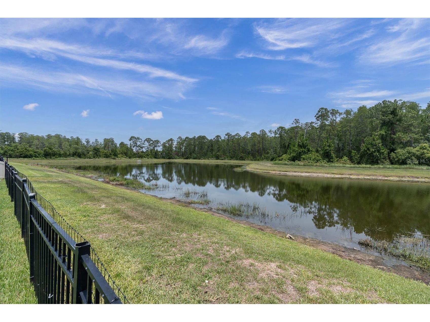 11967 Gavin Lane Odessa FL 33556 W7886658 image44