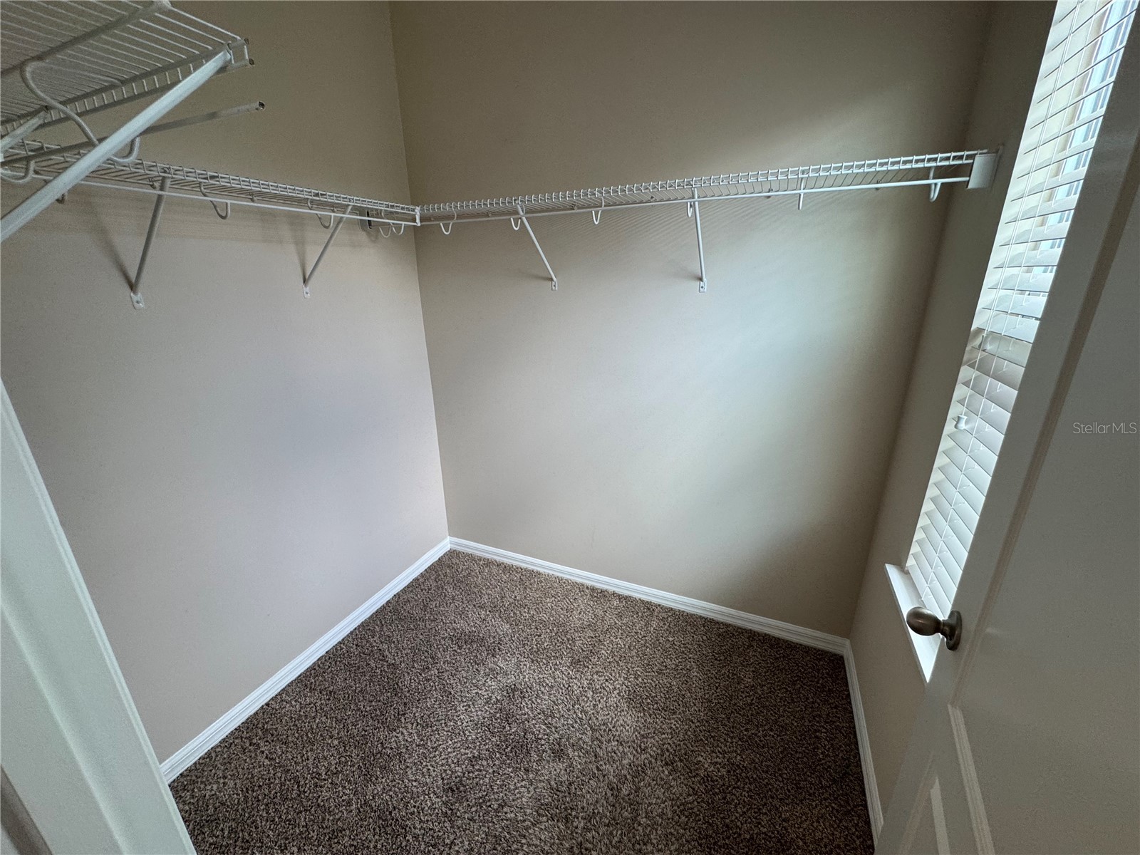 11969 Water Run Alley Windermere FL 34786 S5151577 image22