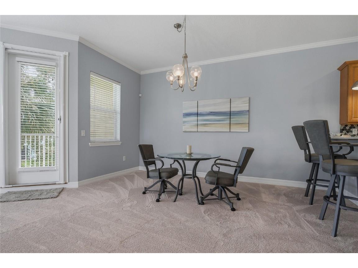 1197 Flying Fish Lane Tarpon Springs FL 34689 TB8453699 image13