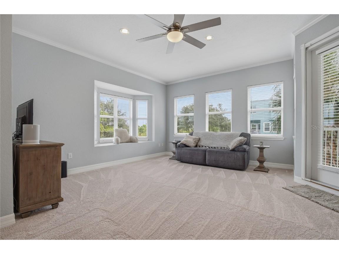 1197 Flying Fish Lane Tarpon Springs FL 34689 TB8453699 image14