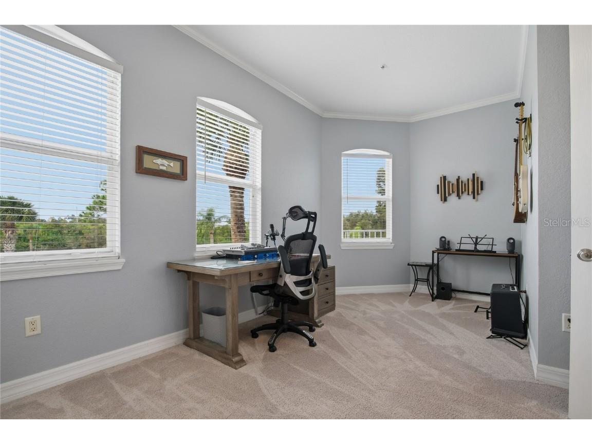 1197 Flying Fish Lane Tarpon Springs FL 34689 TB8453699 image20