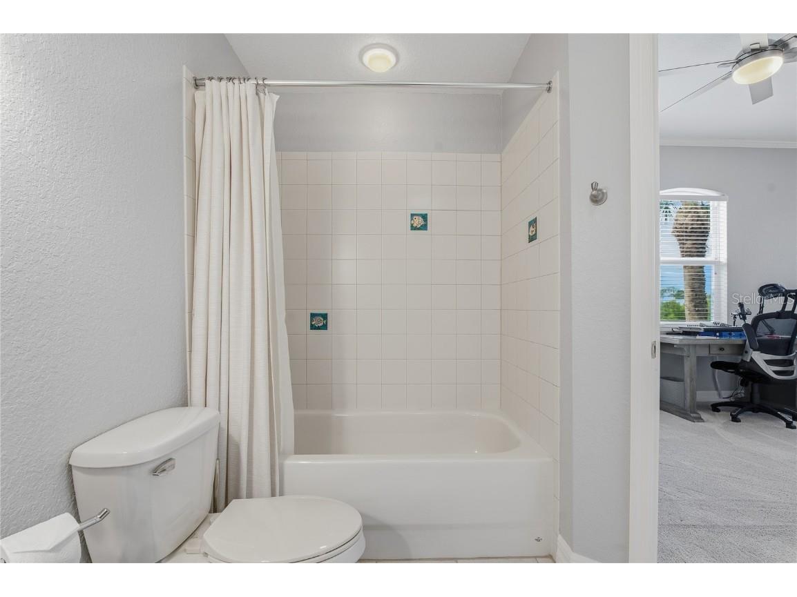 1197 Flying Fish Lane Tarpon Springs FL 34689 TB8453699 image24