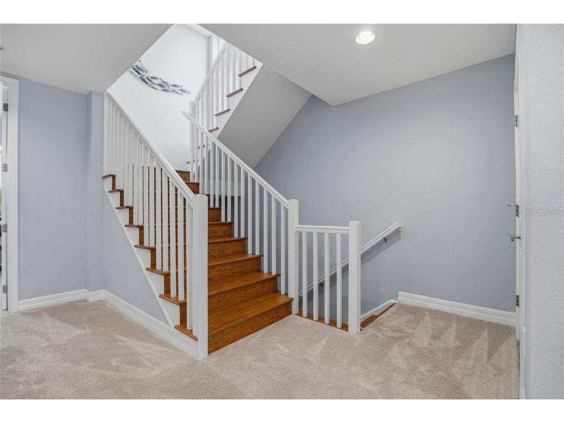 1197 Flying Fish Lane Tarpon Springs FL 34689 TB8453699 image26