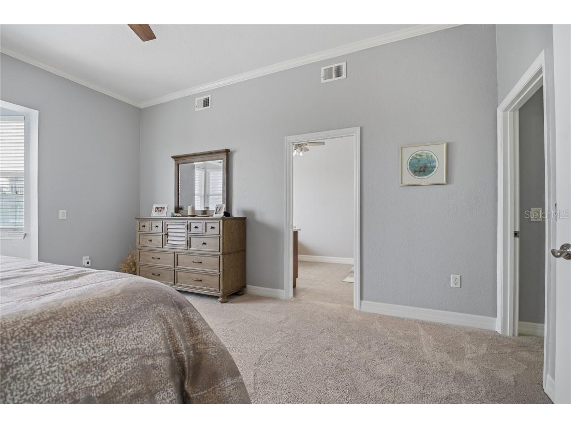 1197 Flying Fish Lane Tarpon Springs FL 34689 TB8453699 image28