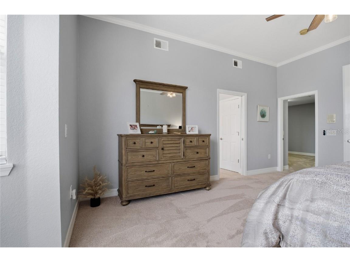 1197 Flying Fish Lane Tarpon Springs FL 34689 TB8453699 image29