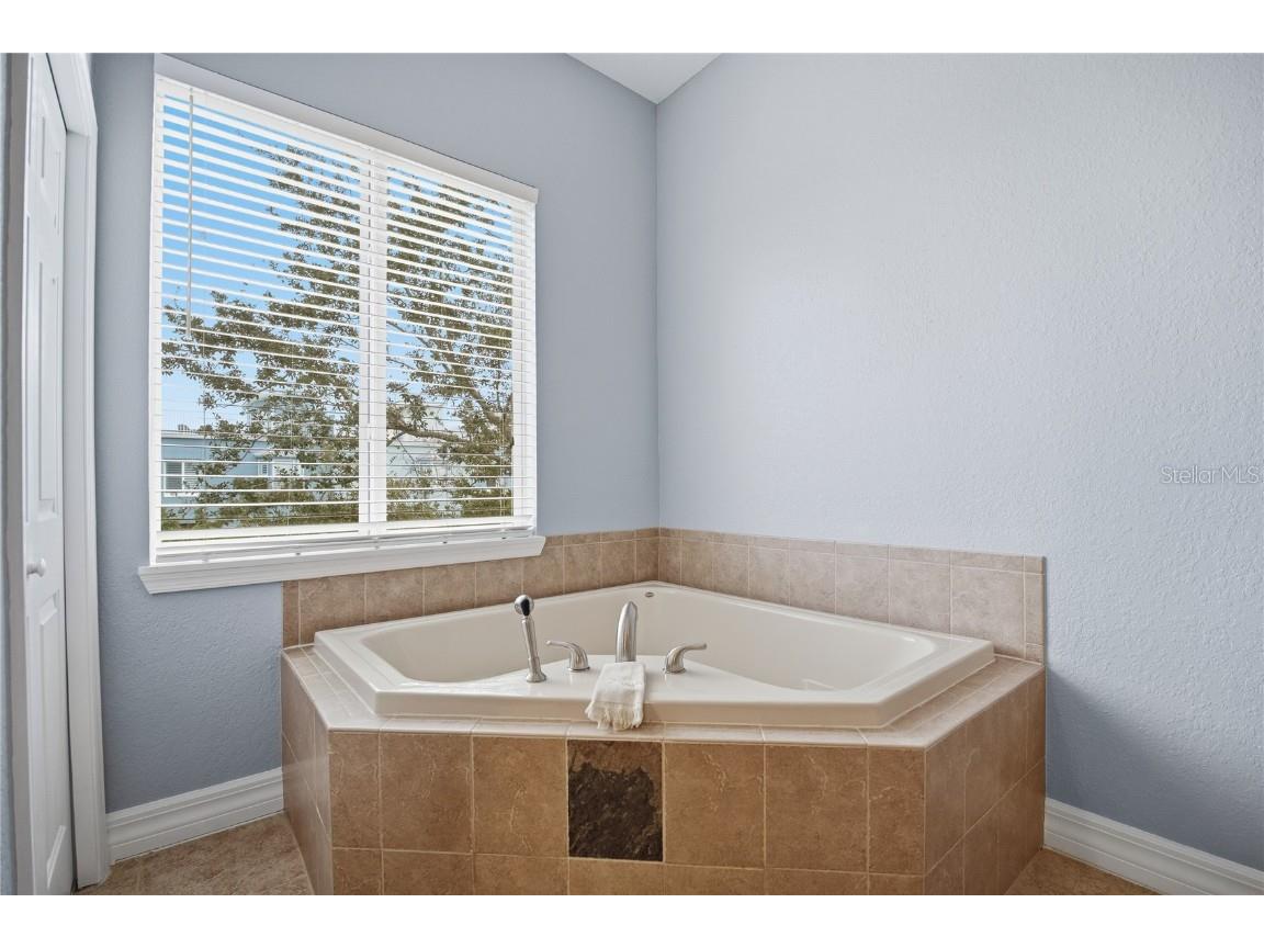 1197 Flying Fish Lane Tarpon Springs FL 34689 TB8453699 image32