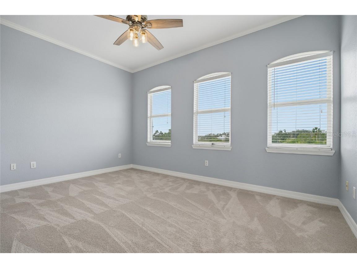 1197 Flying Fish Lane Tarpon Springs FL 34689 TB8453699 image37