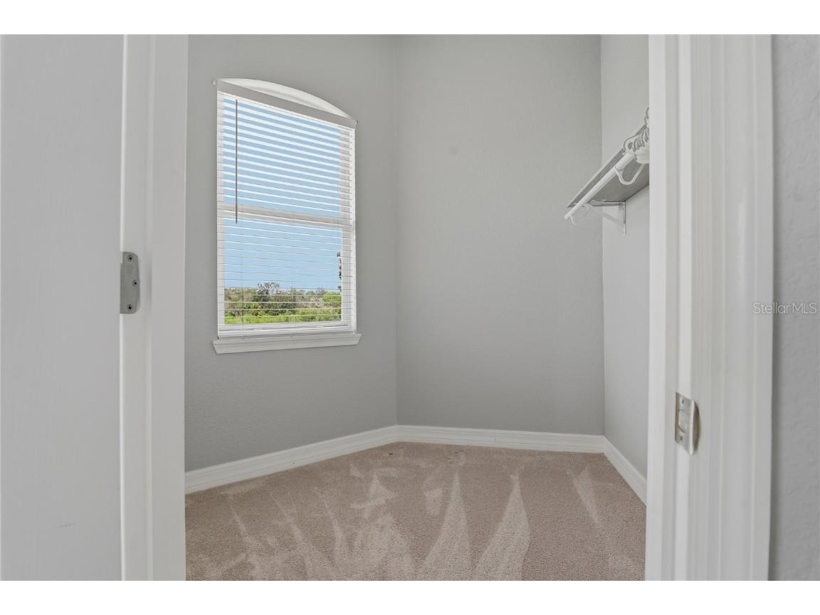 1197 Flying Fish Lane Tarpon Springs FL 34689 TB8453699 image39