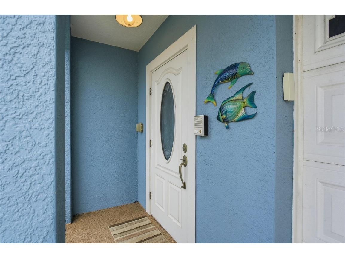 1197 Flying Fish Lane Tarpon Springs FL 34689 TB8453699 image5