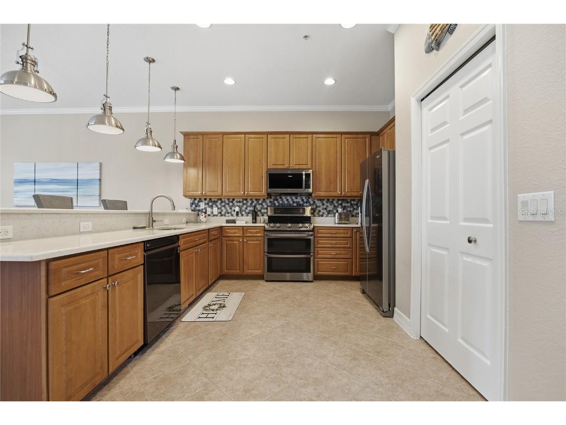 1197 Flying Fish Lane Tarpon Springs FL 34689 TB8453699 image8