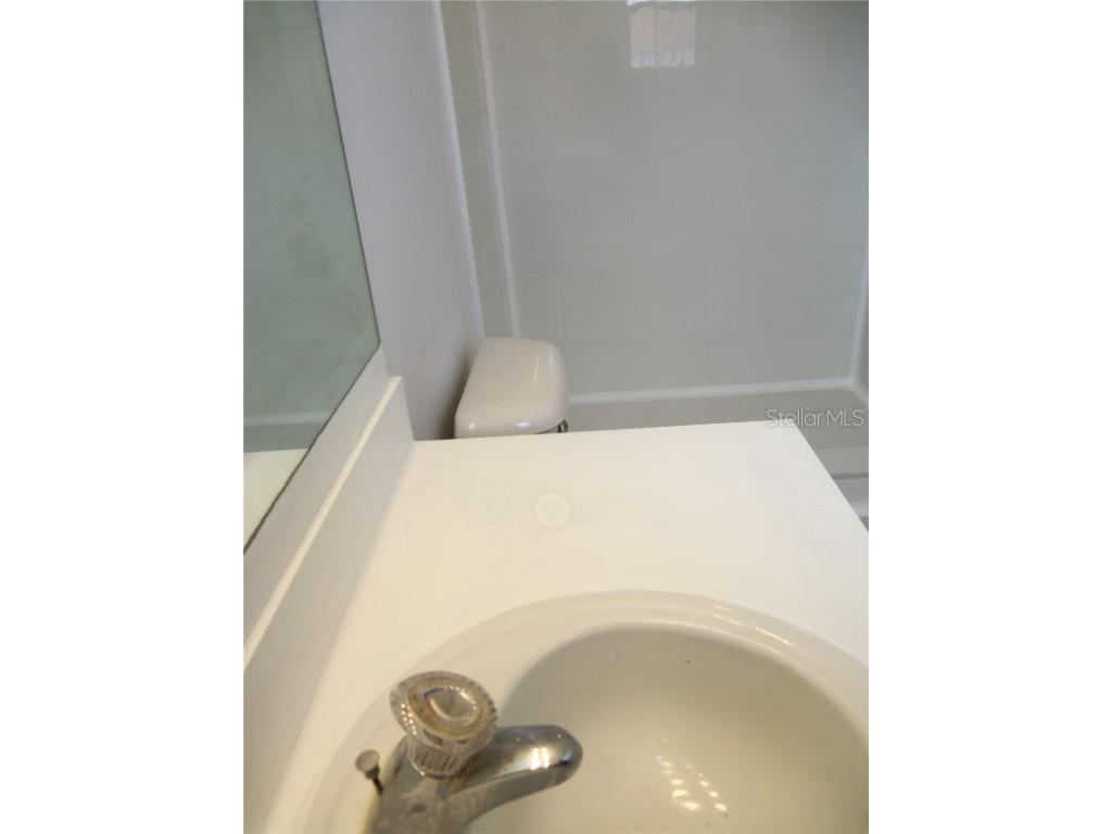 1197 S Beach Circle Kissimmee FL 34746 O6293267 image48