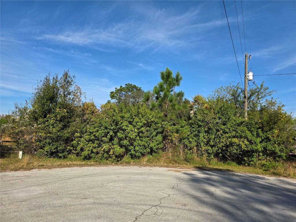 11975 Backland Path Polk City FL 33868 G5105310 image2