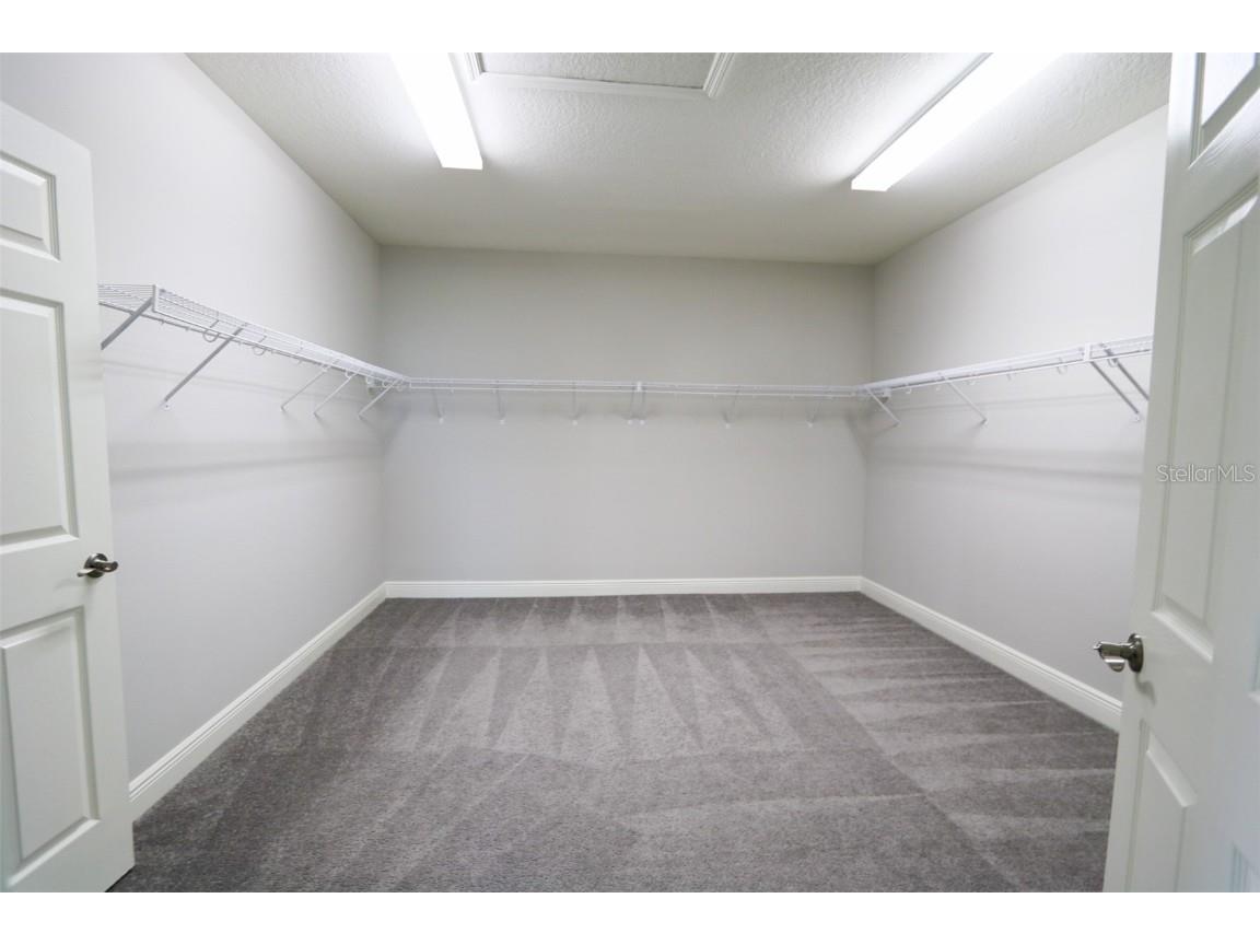 11978 Climbing Fern Avenue Riverview FL 33579 TB8412203 image22