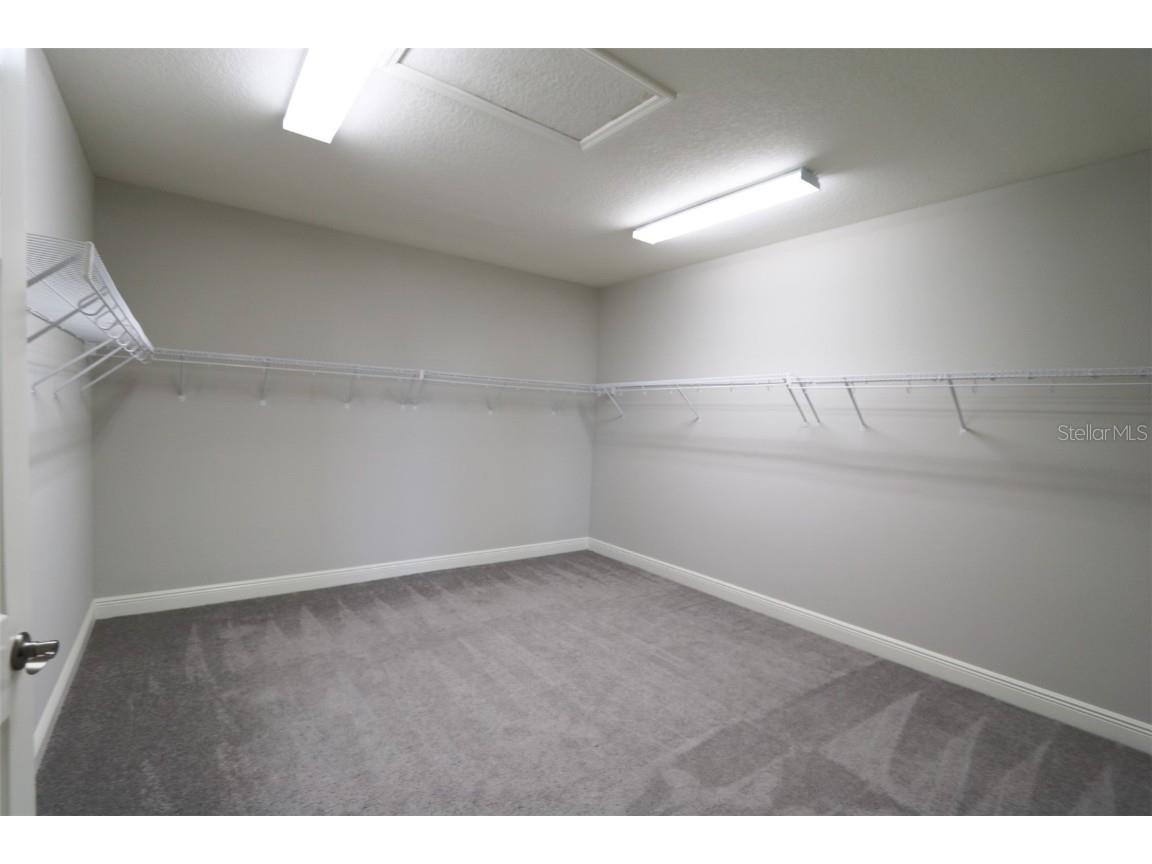 11978 Climbing Fern Avenue Riverview FL 33579 TB8412203 image33