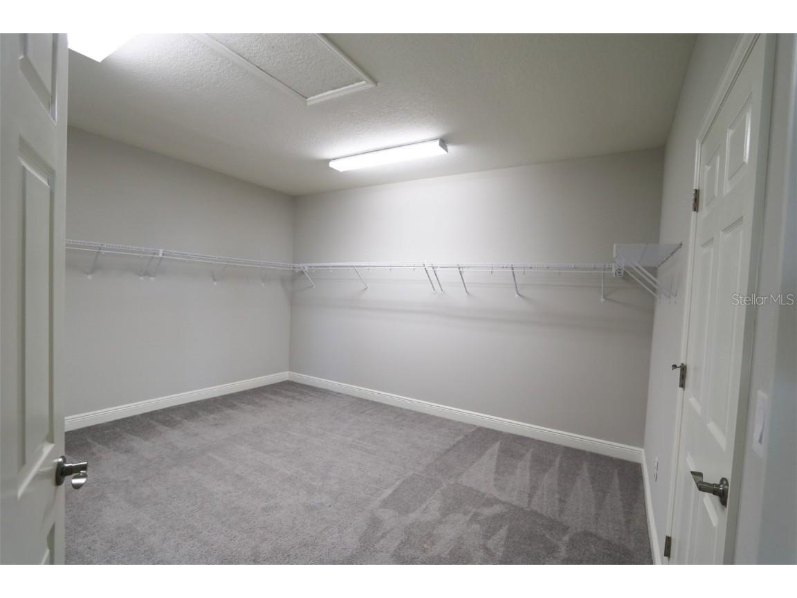 11978 Climbing Fern Avenue Riverview FL 33579 TB8412203 image34