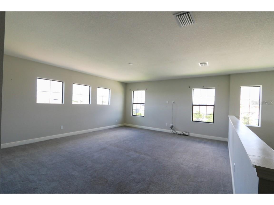 11978 Climbing Fern Avenue Riverview FL 33579 TB8412203 image37