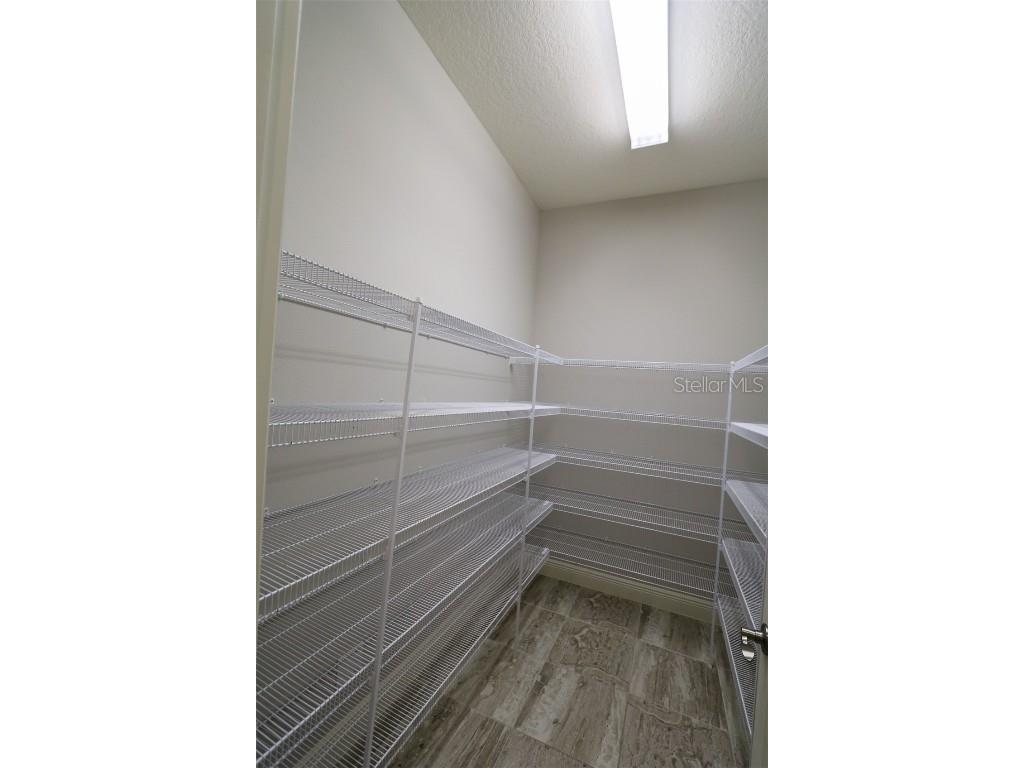 11978 Climbing Fern Avenue Riverview FL 33579 TB8412203 image46