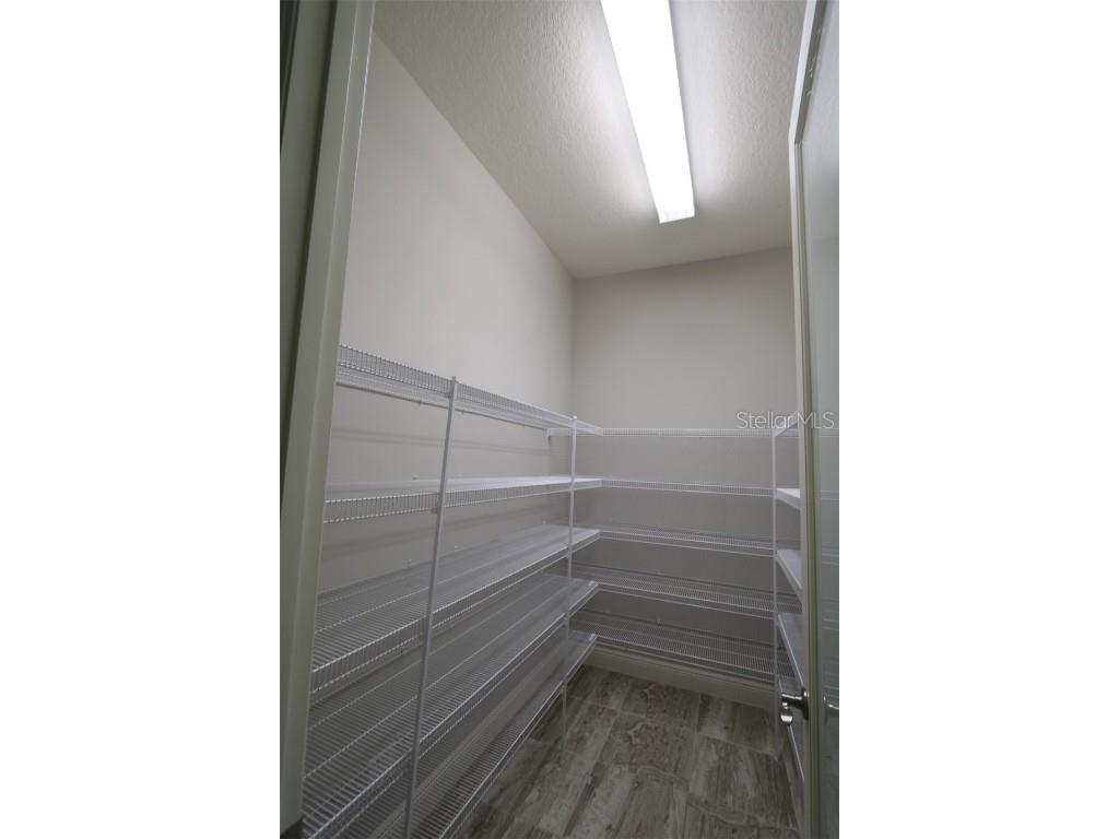 11978 Climbing Fern Avenue Riverview FL 33579 TB8412203 image53