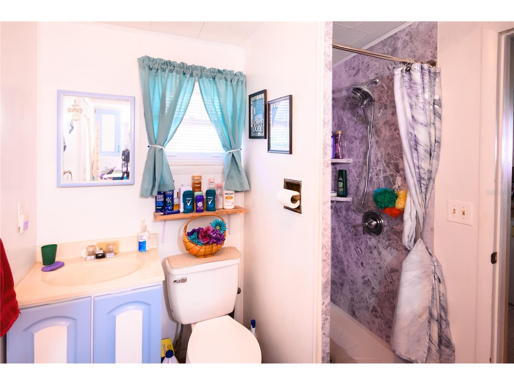 1198 Cr 464 Lake Panasoffkee FL 33538 TB8487387 image10