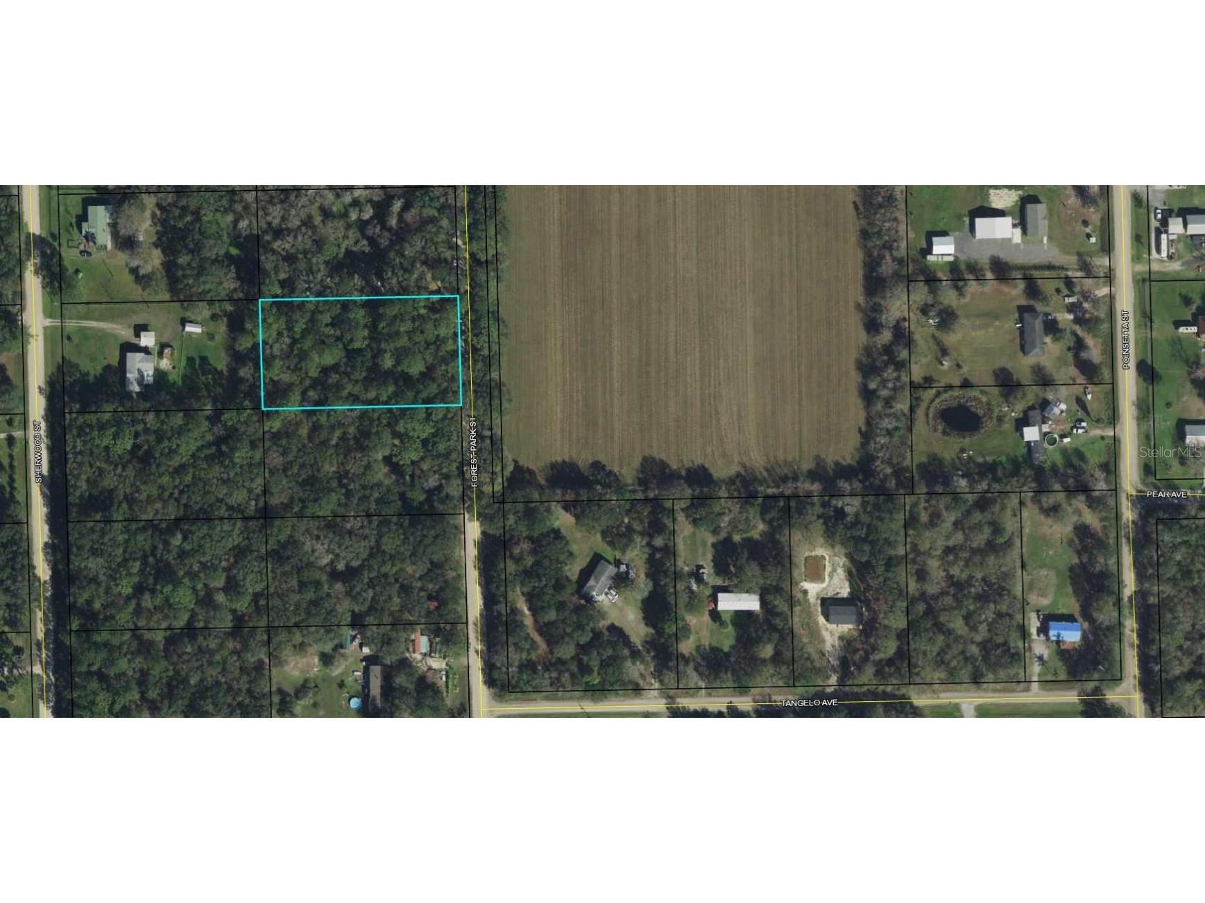 1198 Forest Park Street Bunnell FL 32110 FC285802 image1