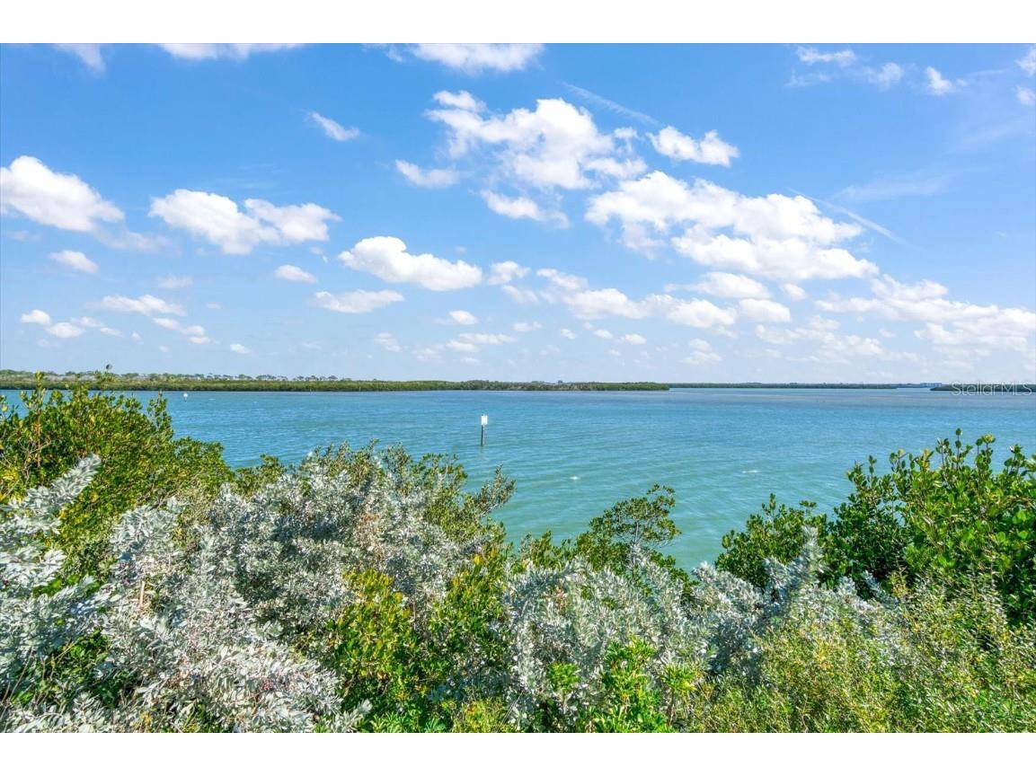 1198 Mandalay Point Clearwater FL 33767 - CLWTR HARBOR & GULF OF MEXICO U8231430 image23