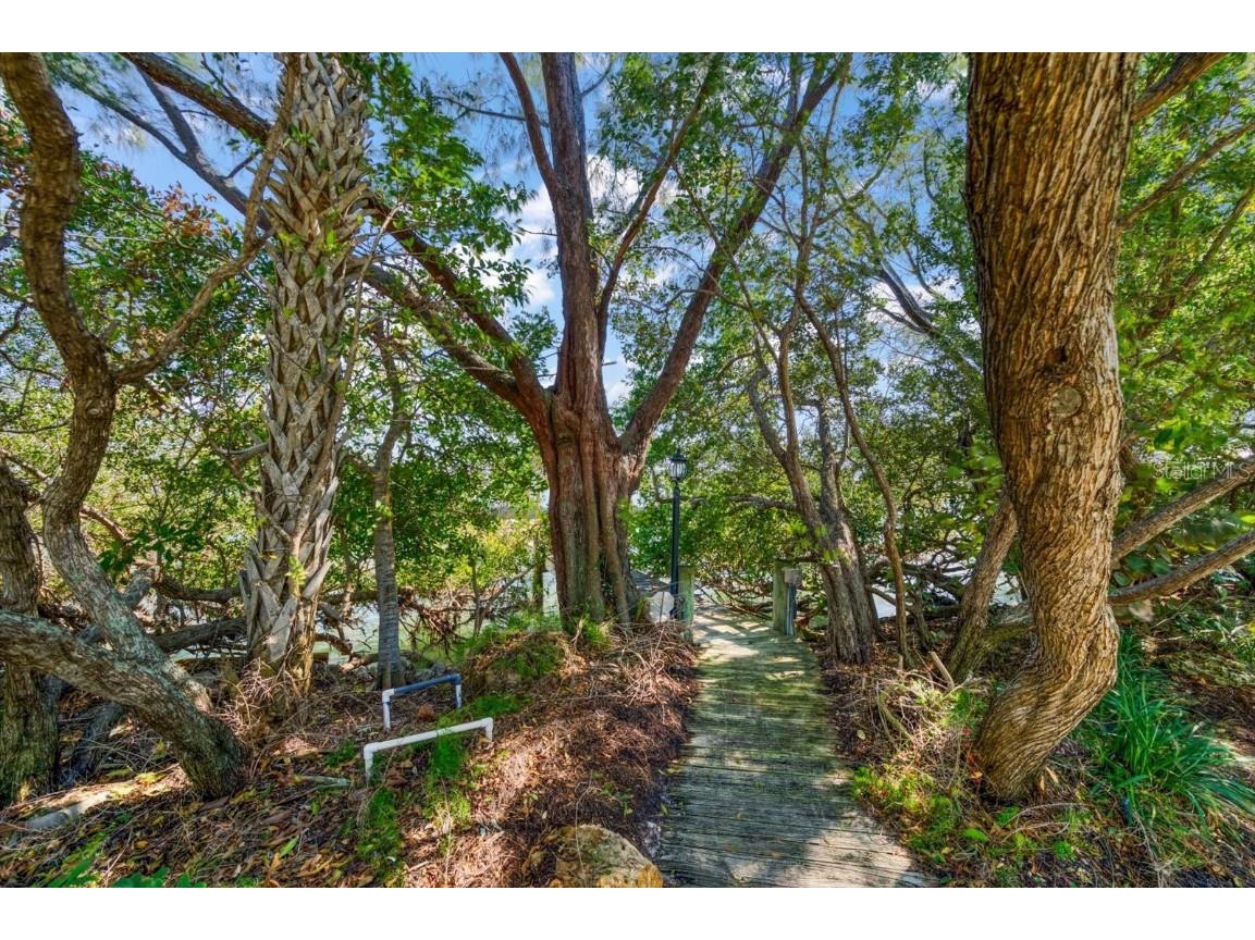 1198 Mandalay Point Clearwater FL 33767 - CLWTR HARBOR & GULF OF MEXICO U8231430 image41