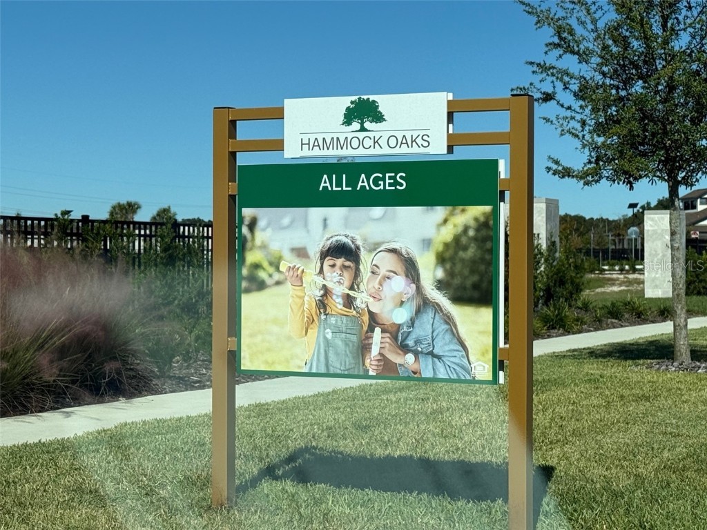 1198 Port Blue Way Lady Lake FL 32159 OM713582 image16