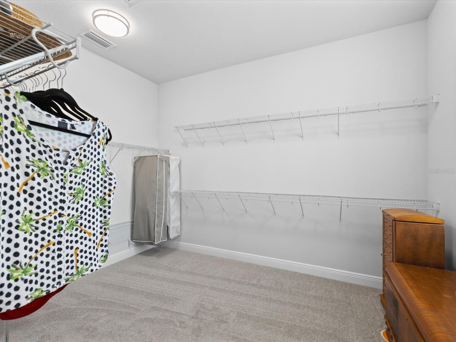 11981 Robina Road Weeki Wachee FL 34614 W7884999 image29
