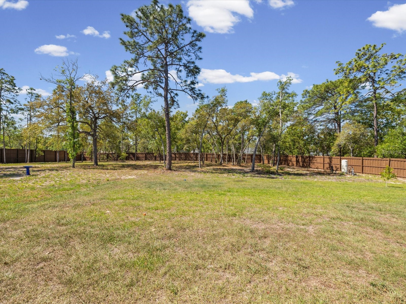 11981 Robina Road Weeki Wachee FL 34614 W7884999 image55