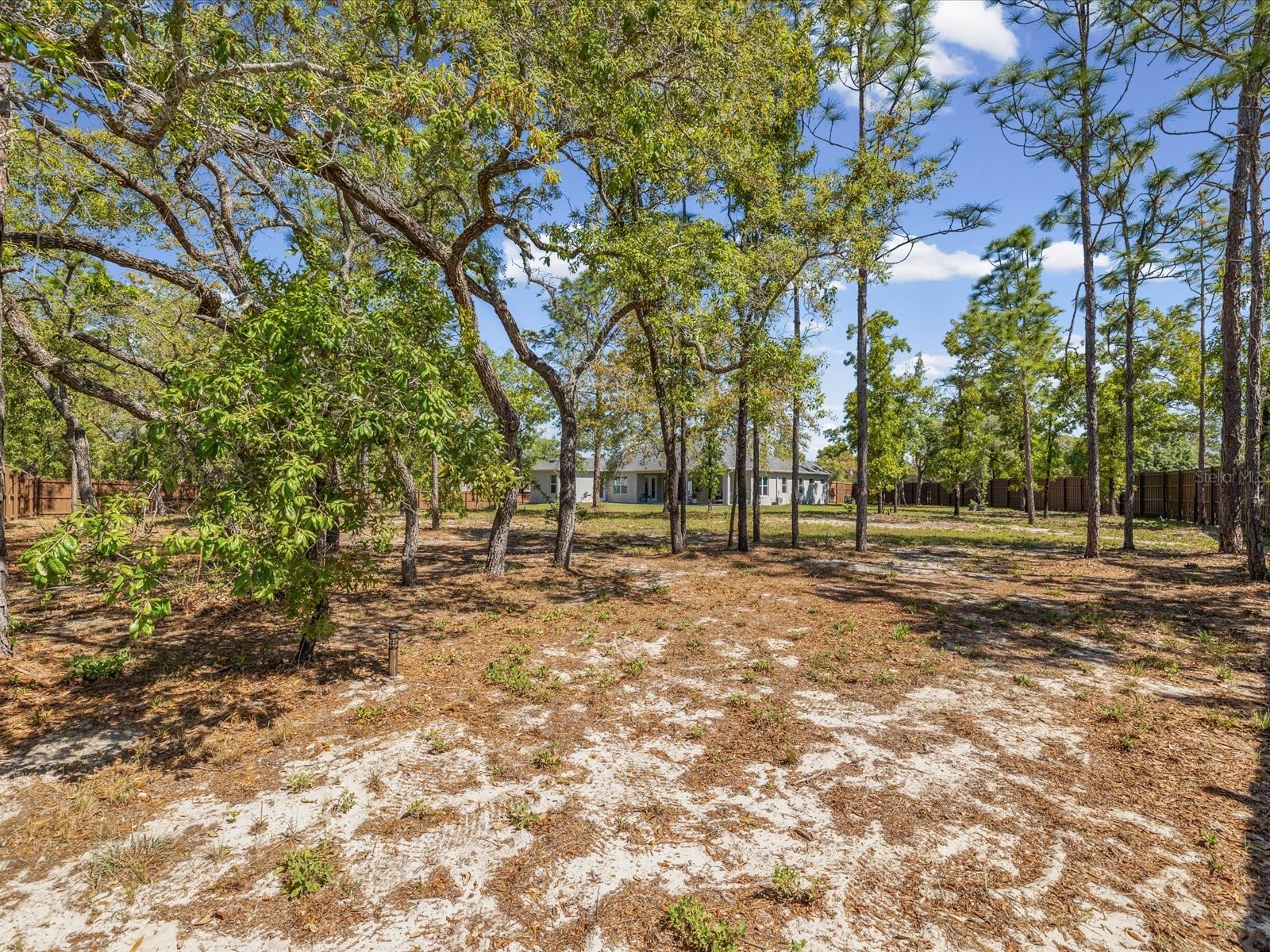 11981 Robina Road Weeki Wachee FL 34614 W7884999 image59