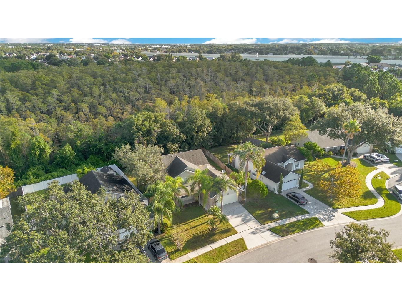 11985 Blackheath Circle Orlando FL 32837 S5134232 image34