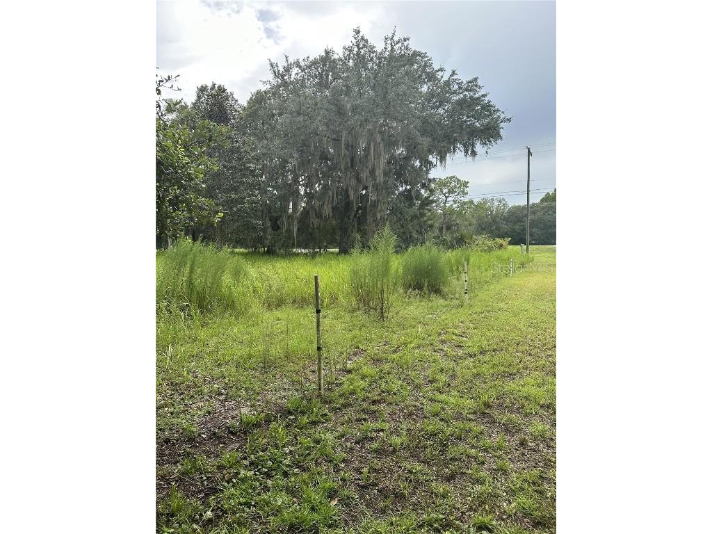 11987 SE Highway 464 Ocklawaha FL 32179 OM661630 image1