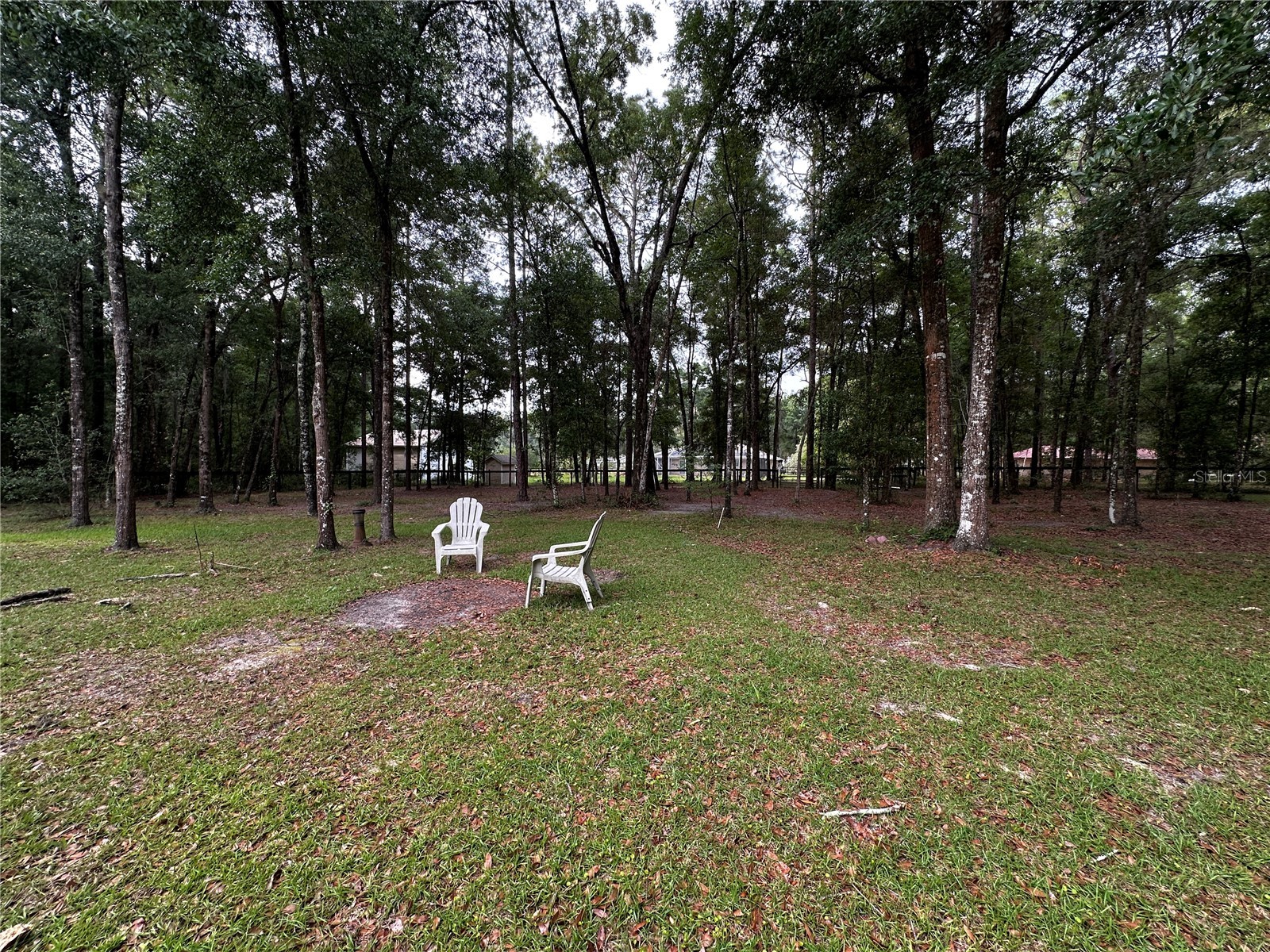 11988 SW 38th Street Ocala FL 34481 OM725293 image21