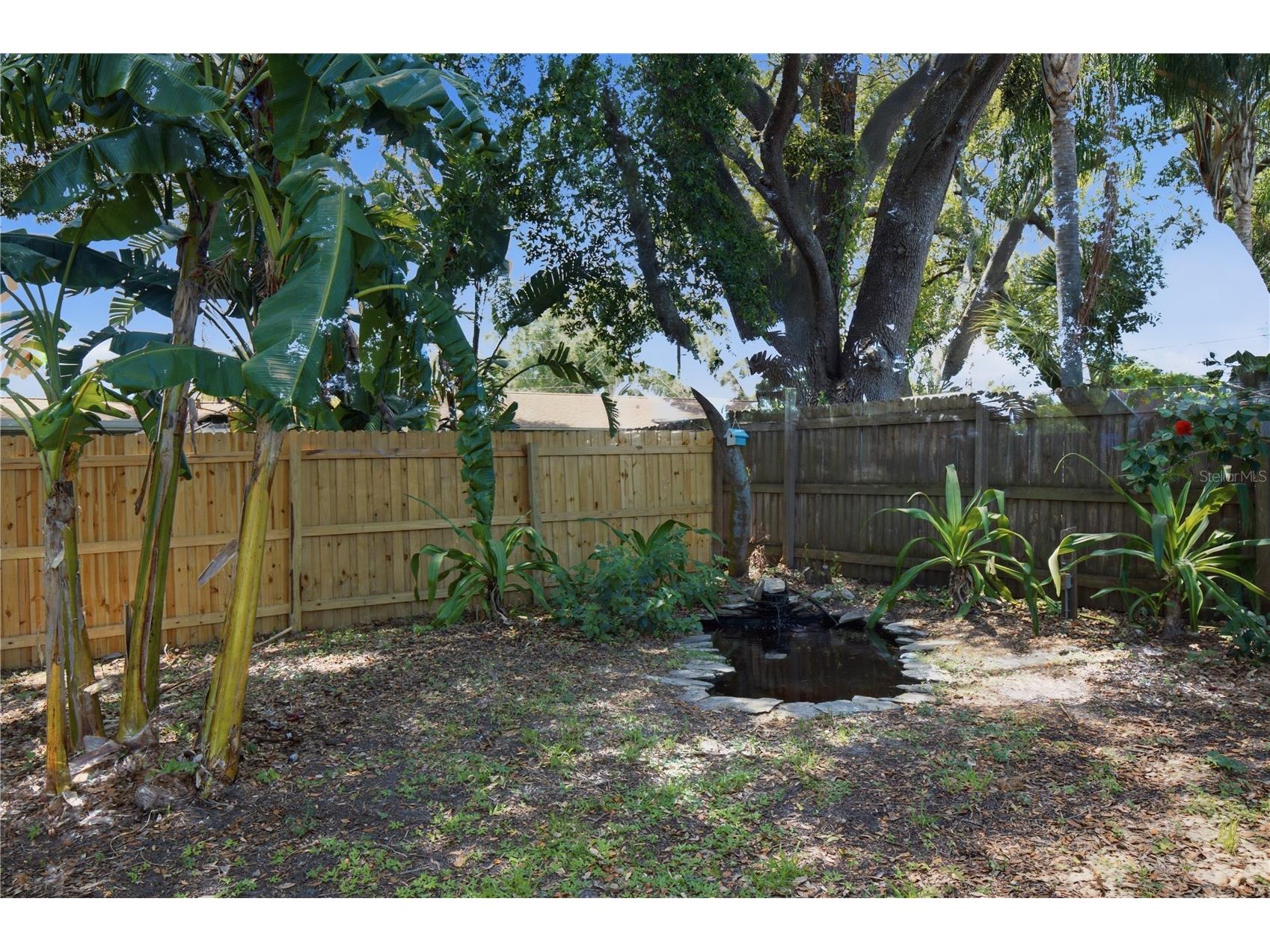 1199 Keene Road Dunedin FL 34698 TB8523415 image27
