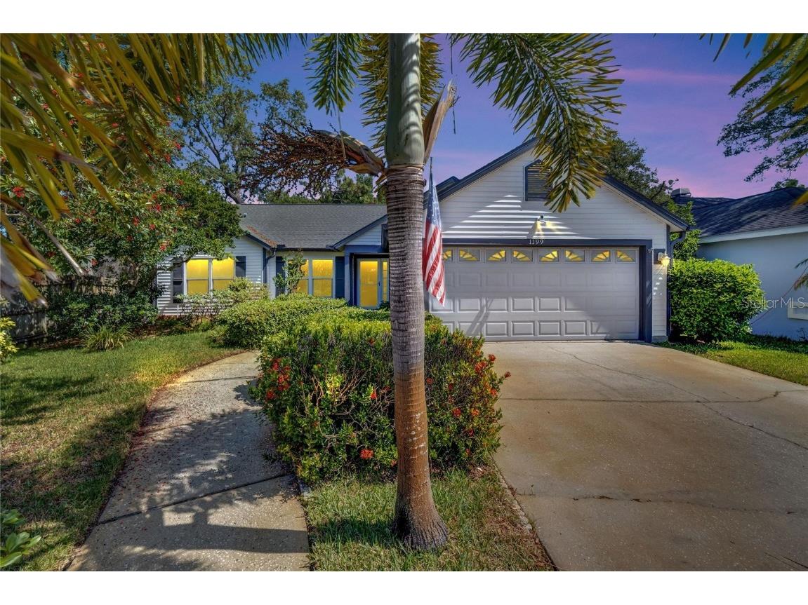 1199 Rolling Oaks Avenue Tarpon Springs FL 34689 T3524543 image1