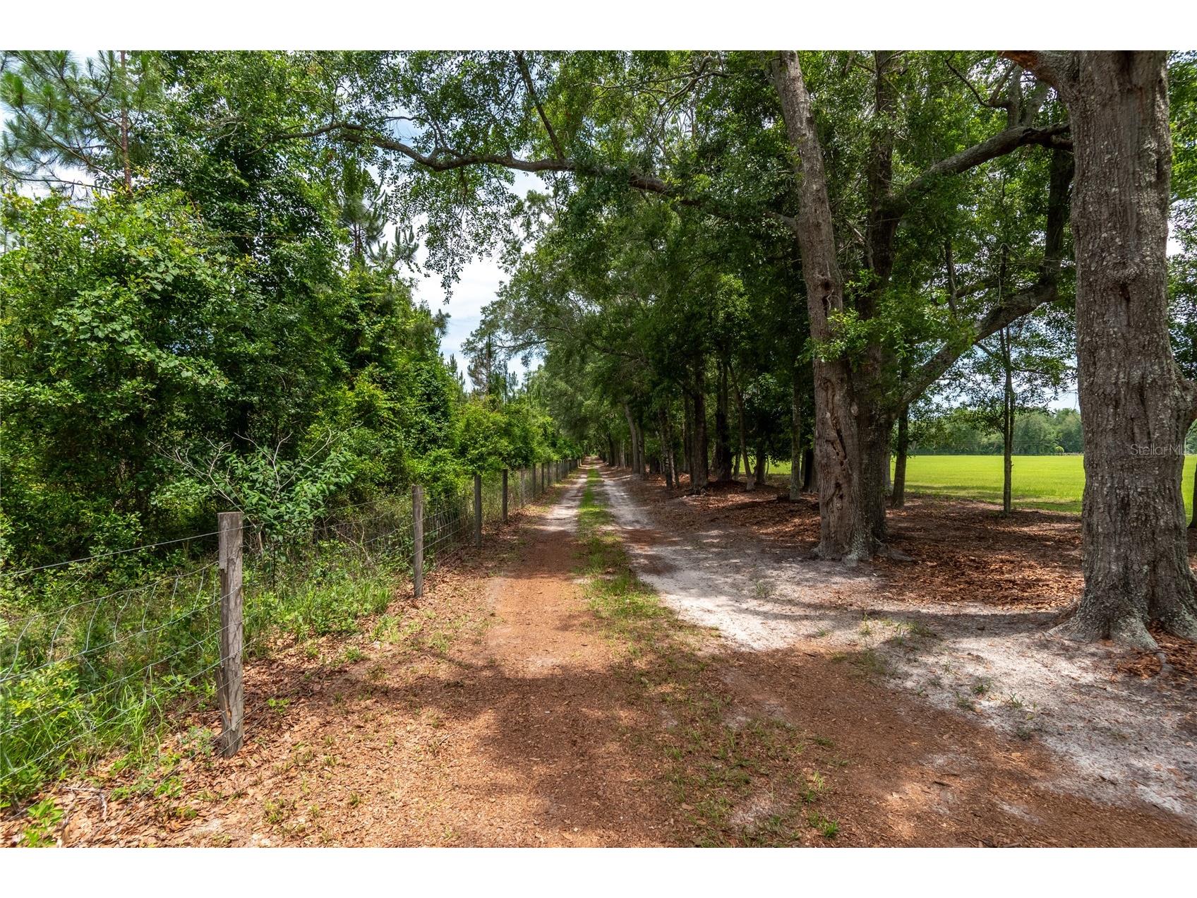 11990 156th Street Mc Alpin FL 32062 OM724958 image6