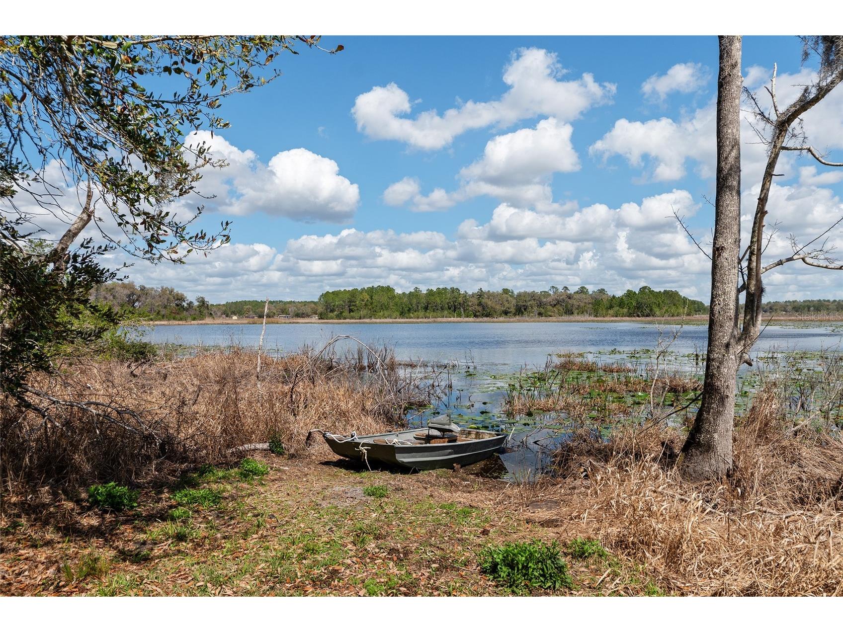 11990 SE 112th Avenue Road Belleview FL 34420 - LAKE BOWERS OM720274 image15