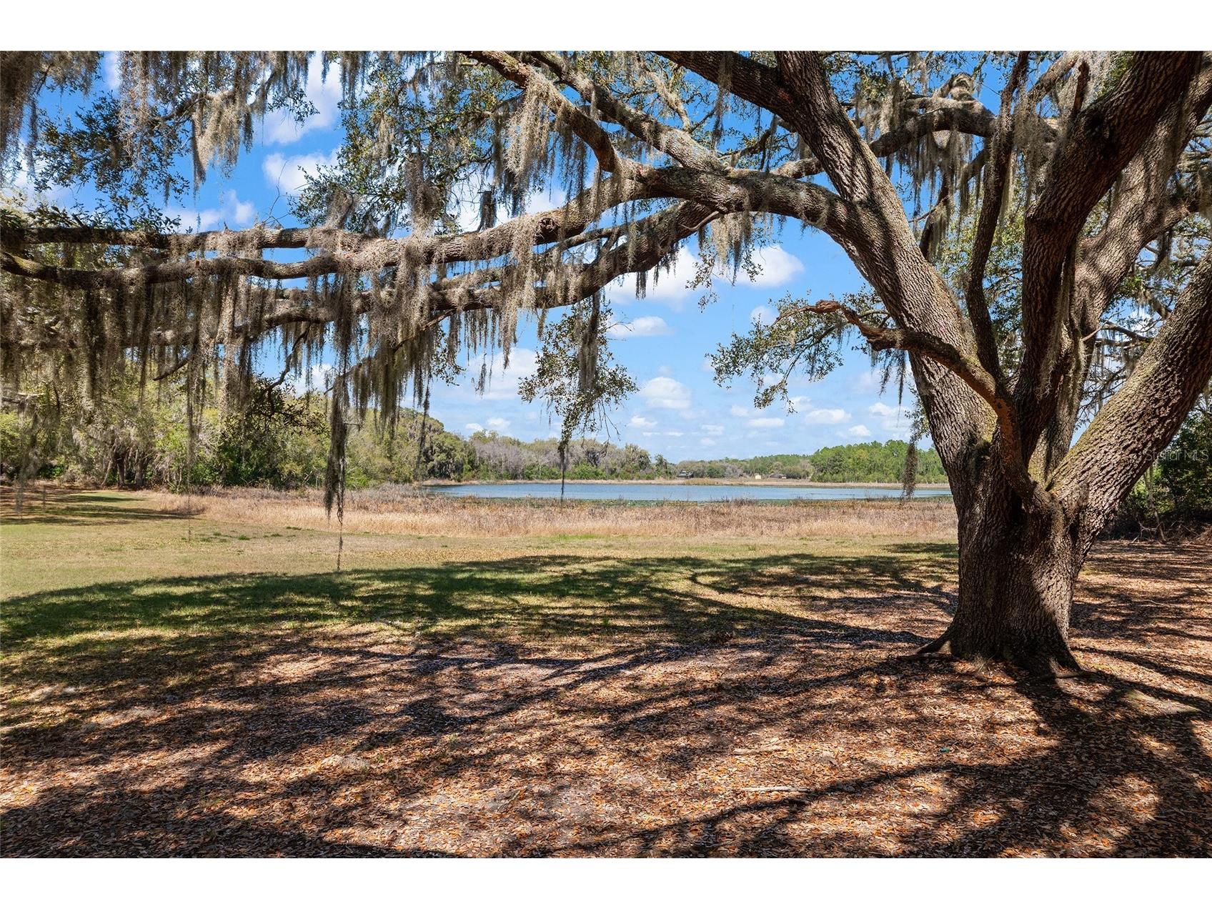 11990 SE 112th Avenue Road Belleview FL 34420 - LAKE BOWERS OM720274 image3